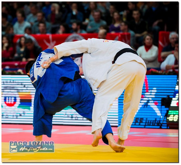 Paris 2014 by P.Lozano cat -66 kg (208)